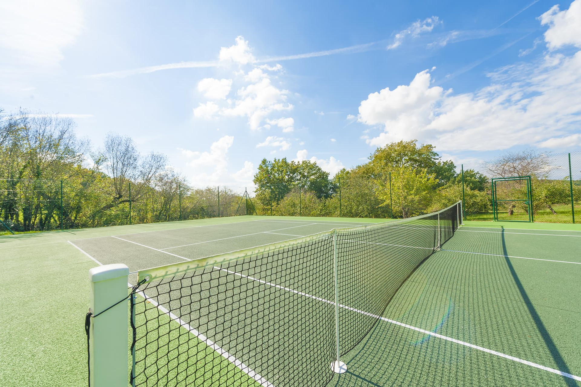 Tennis court surrounded by trees